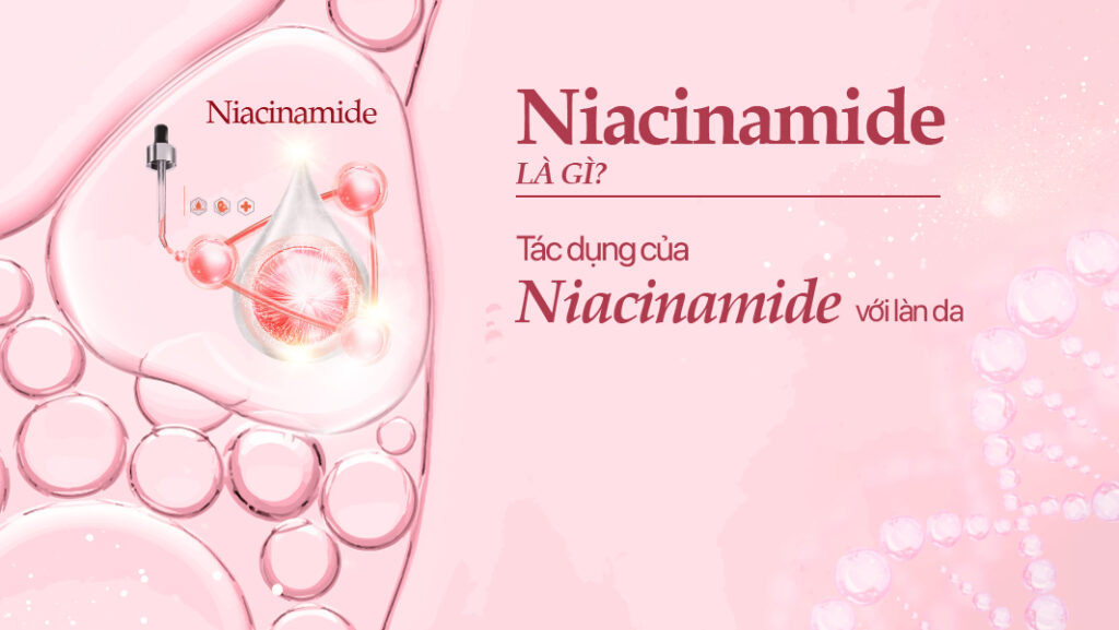 Niacinamide là gì? - Bí quyết cho làn da đều màu và rạng rỡ