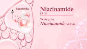 Niacinamide là gì? - Bí quyết cho làn da đều màu và rạng rỡ