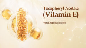 Tocopheryl Acetate (Vitamin E): Hoạt chất vàng chống lão hóa và bảo vệ làn da toàn diện